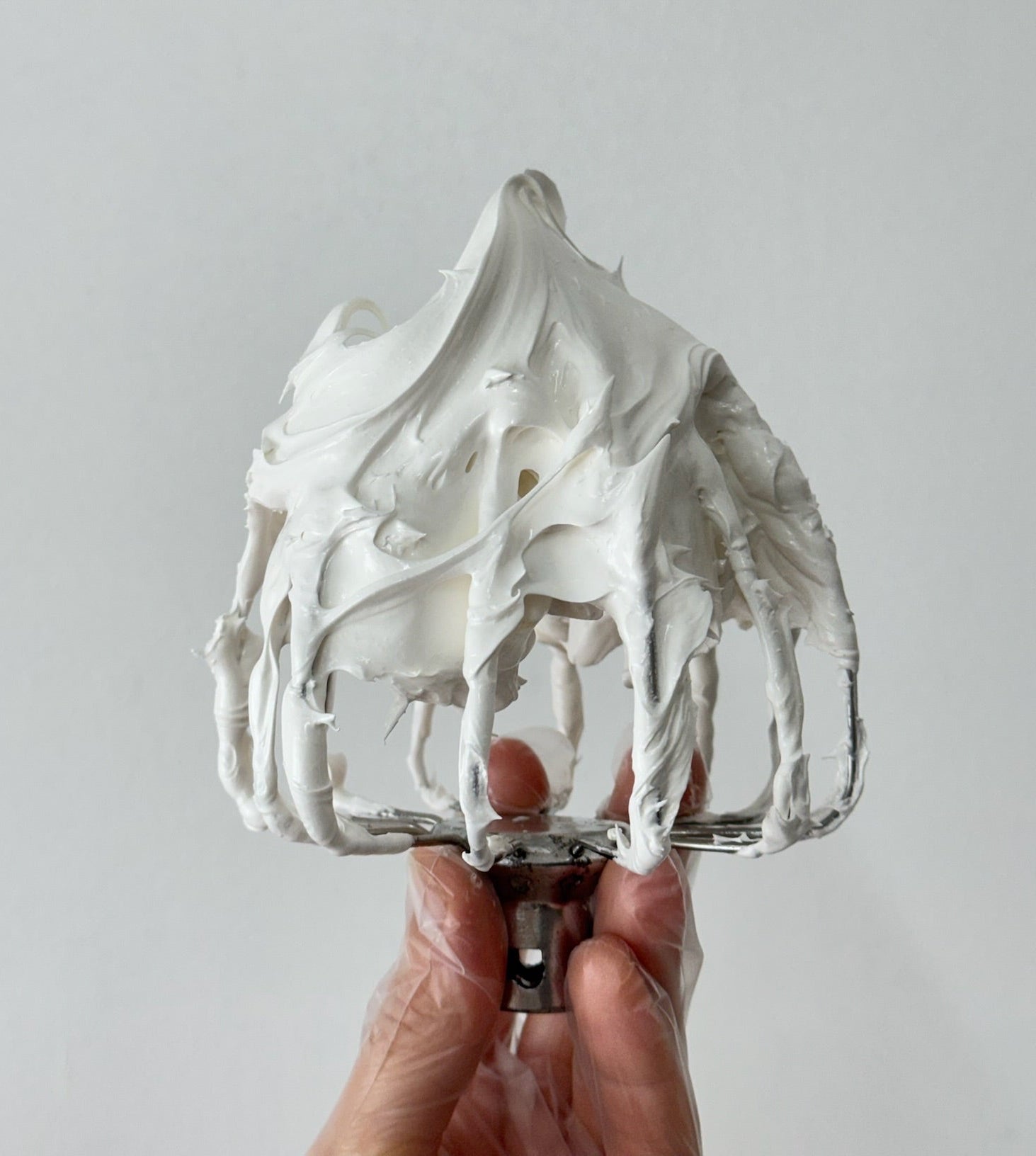 Marshmallow Tulips Lesson