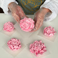 Marshmallow Peony Lesson