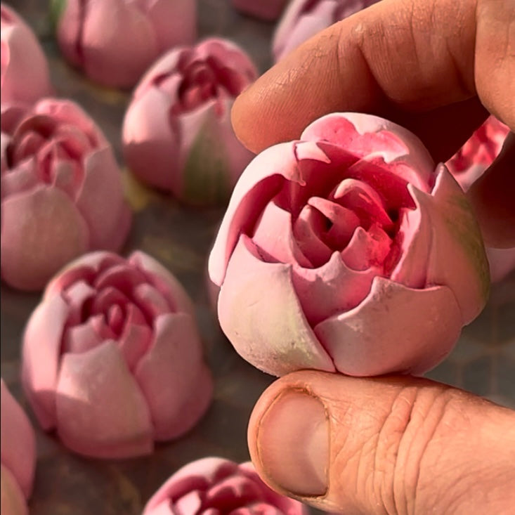 Marshmallow Tulips Lesson